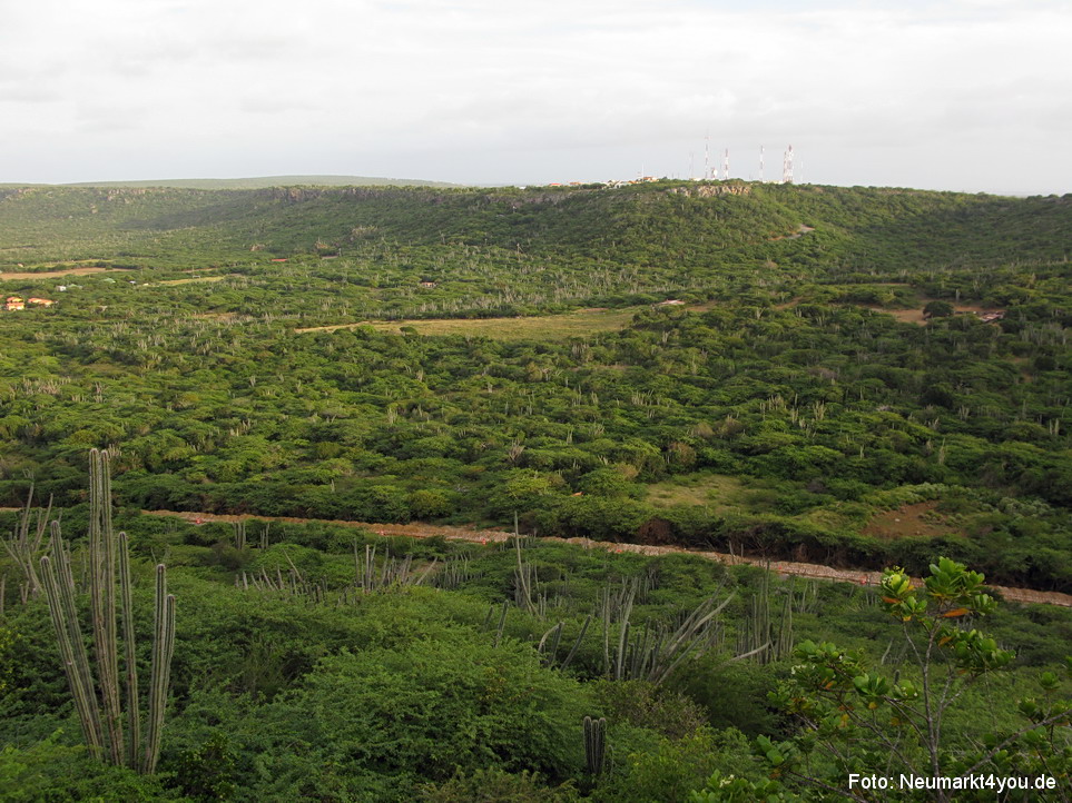 0021 Insel Bonaire 2009